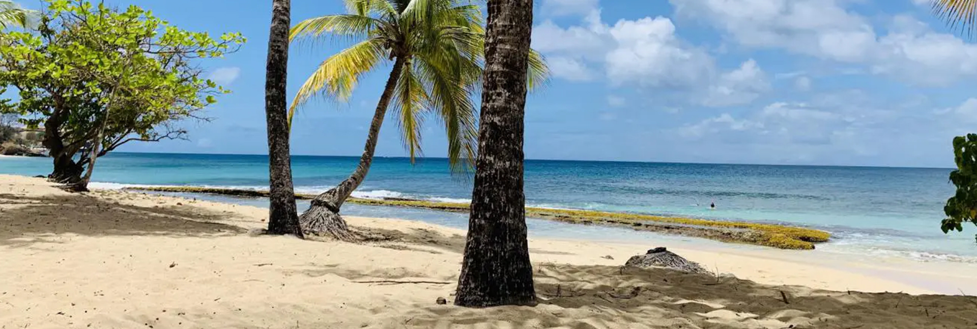 Magazine Beach
